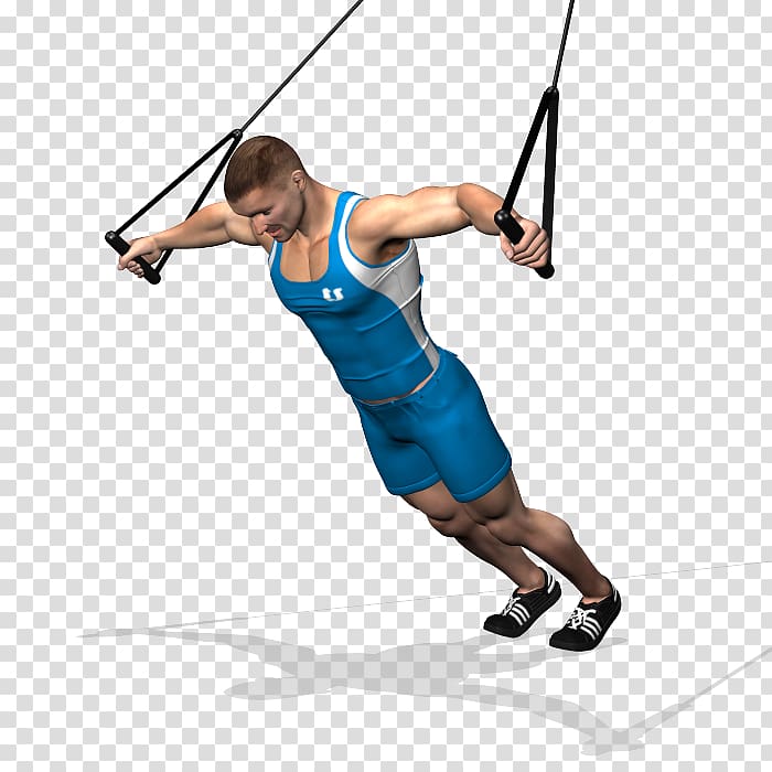 Suspension training Exercise Physical fitness Weight training Functional training, others transparent background PNG clipart