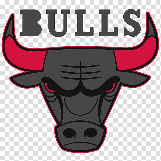 United Center Detroit Pistons at Chicago Bulls Chicago Bulls vs. Charlotte Hornets 2018–19 NBA season, chicago bulls game transparent background PNG clipart