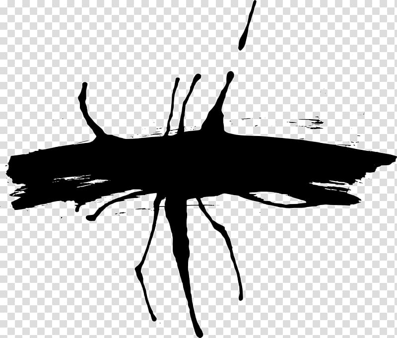 Insect Paper Black and white Monochrome , brush strokes transparent background PNG clipart