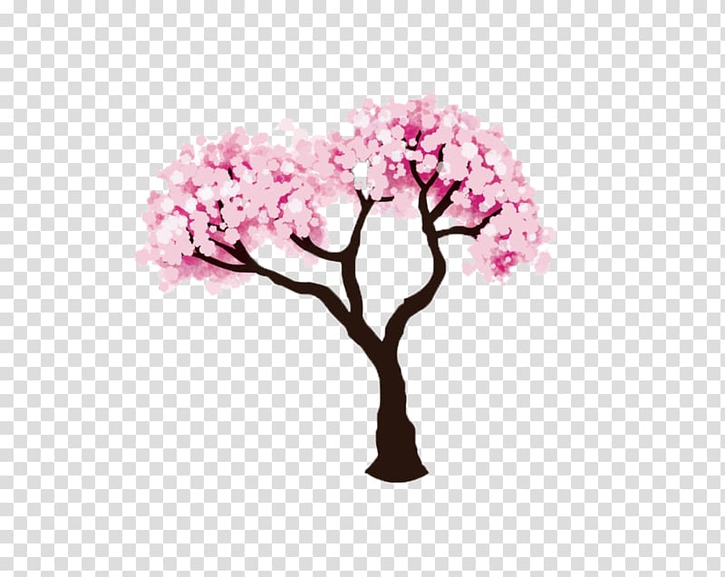 Cherry blossom Drawing , Cherry Tree transparent background PNG clipart