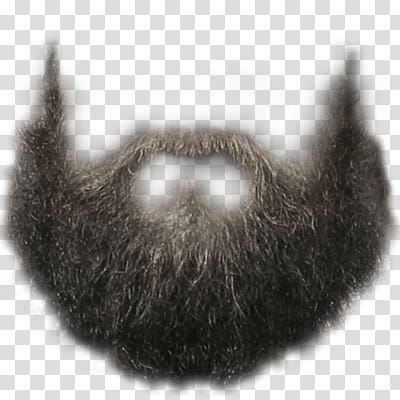 facial hair illustration, Perfect Hipster Beard transparent background PNG clipart