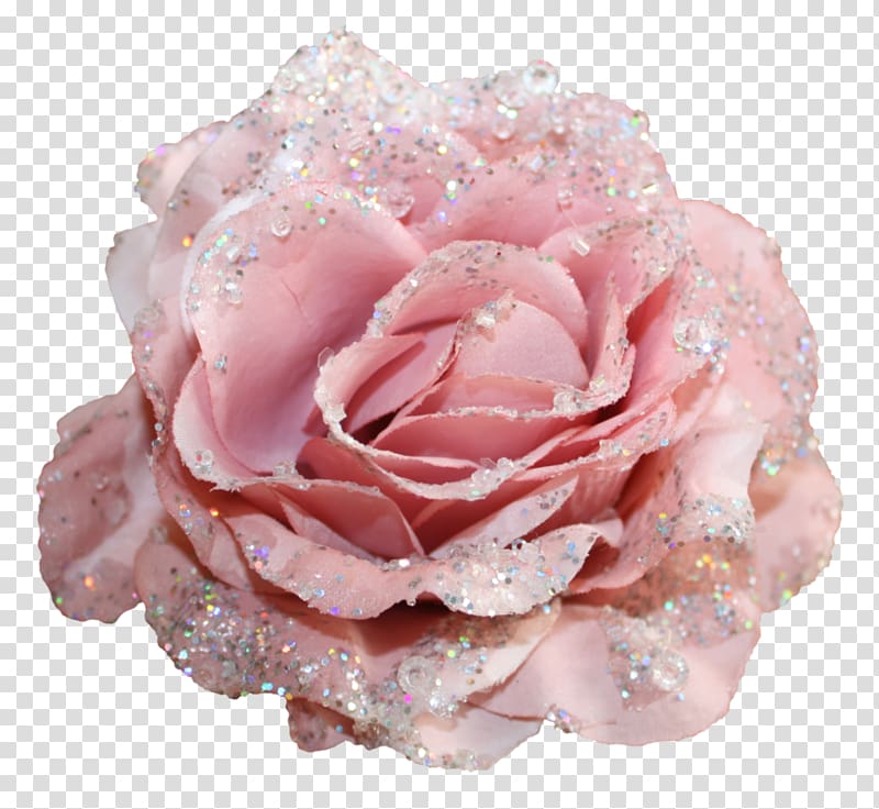 pink rose with glitters, Centifolia roses Flower Glitter Textile, cloth transparent background PNG clipart