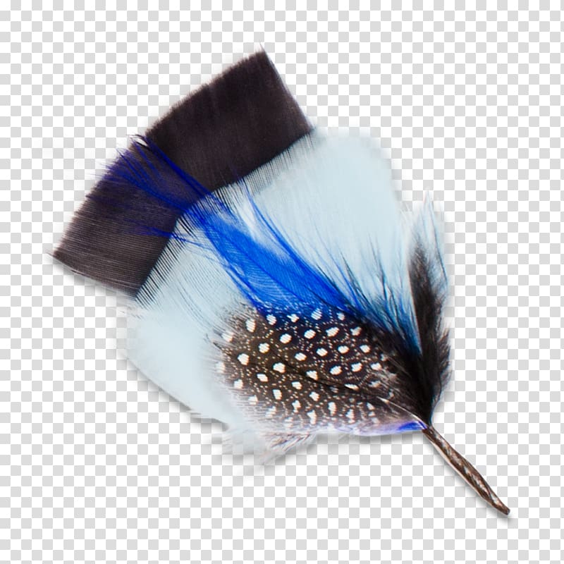 Hat Goorin Bros. Clothing Accessories United States Feather, Hat transparent background PNG clipart