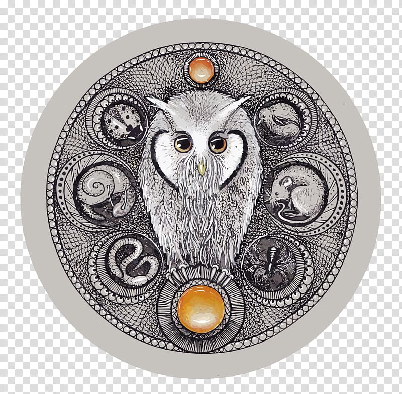 Little Owl, Owls and recipes transparent background PNG clipart