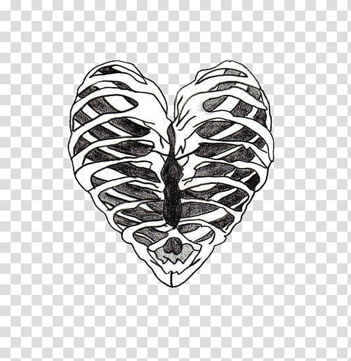Heart Rib cage Human skeleton Drawing, chest tattoo transparent background PNG clipart