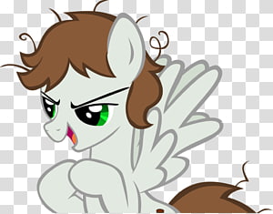 Cat Pony Horse , Cat transparent background PNG clipart thumbnail