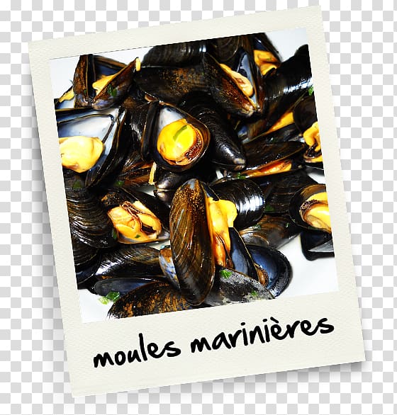 Mussel Marriage .net, moules transparent background PNG clipart