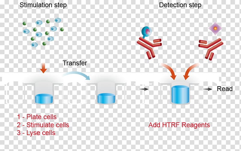 Assay ELISA Microtiter plate Cell Stimulation, others transparent background PNG clipart