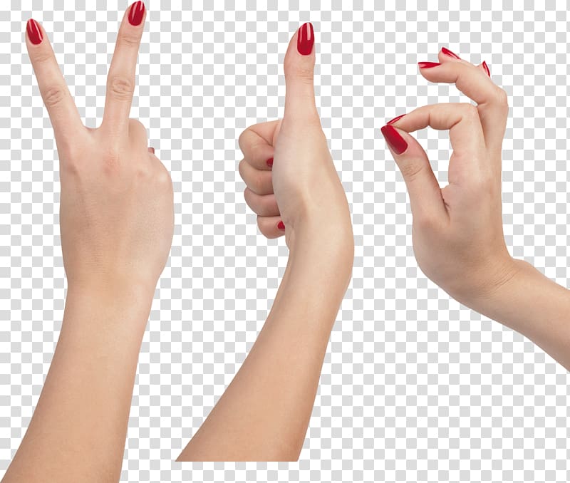 Upper limb Hand Finger Nail, fingers transparent background PNG clipart