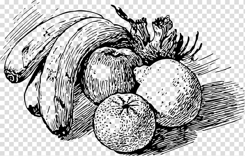 Drawing Fruit Pentekening Sketch, dragon fruit transparent background PNG clipart