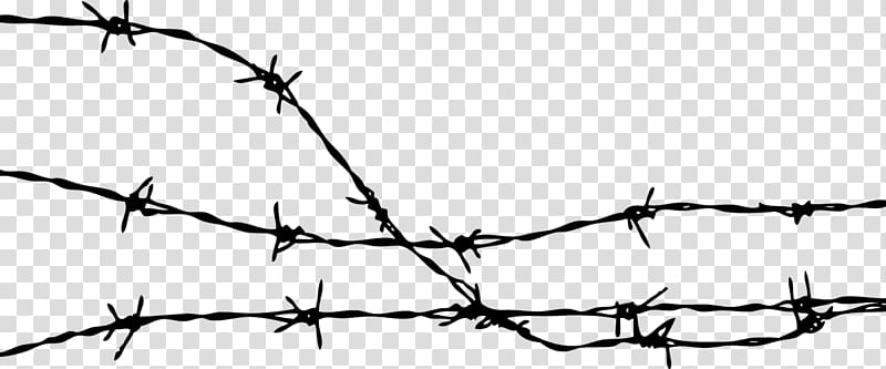 Barbed Wire transparent background PNG clipart