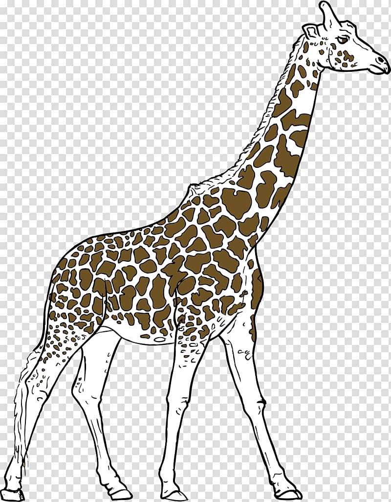 Youre avin a Giraffe Drawing , Tall giraffe transparent background PNG clipart