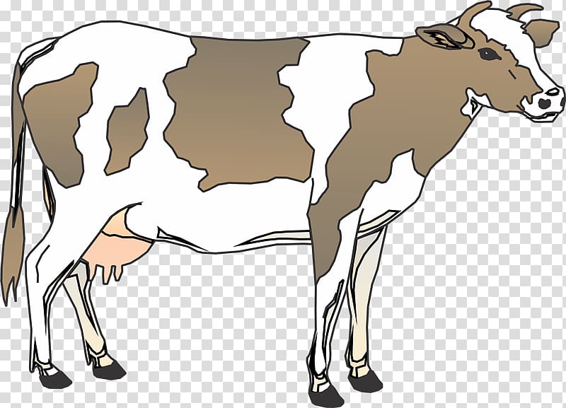 Taurine cattle Texas Longhorn English Longhorn , Ly transparent background PNG clipart