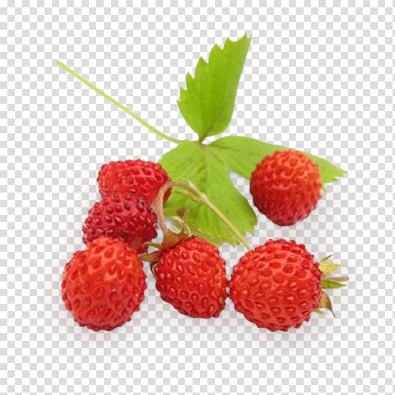 Wild strawberry Slatko Raspberry, strawberry transparent background PNG clipart