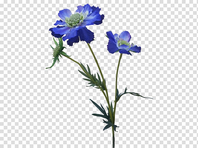 Anemone Larkspur Cut flowers Plant stem Herbaceous plant, artificial flowers mala transparent background PNG clipart