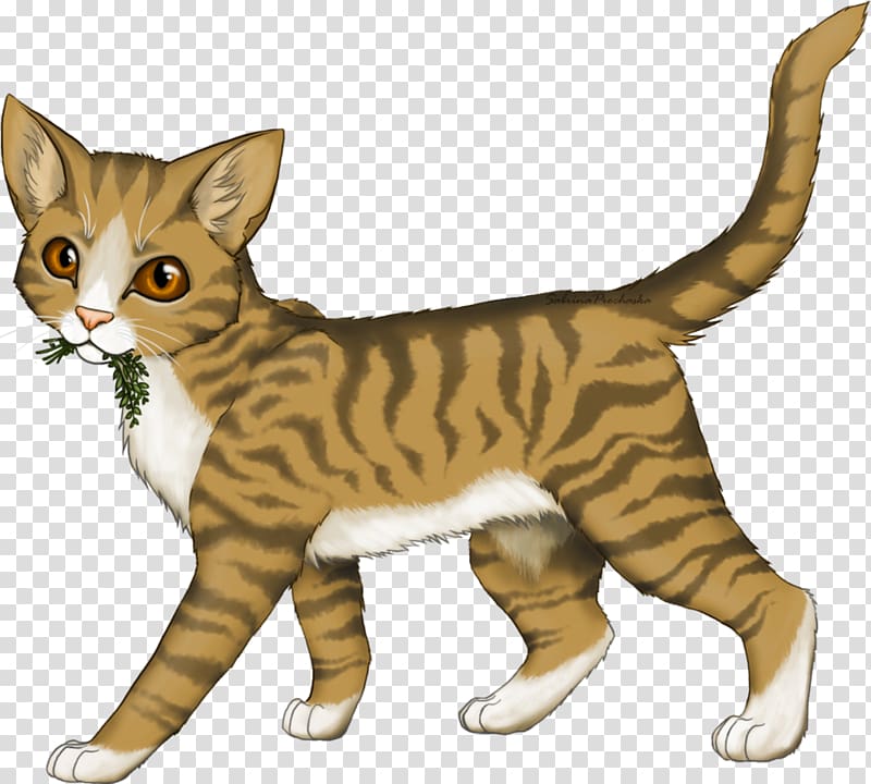 Medicine Cat Warriors Leafpool Squirrelflight, Cat transparent background PNG clipart