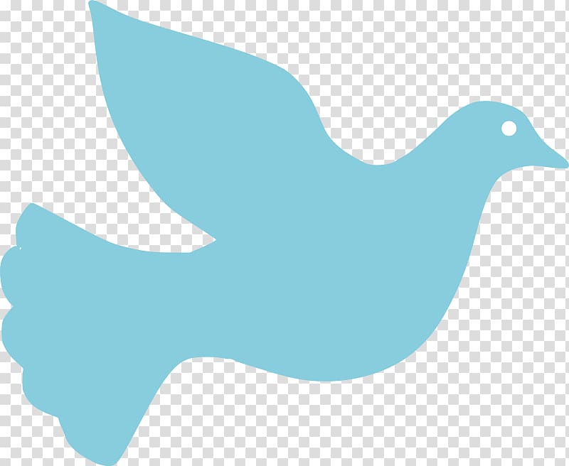 Columbidae , Dove transparent background PNG clipart