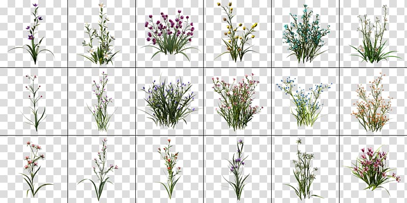 Lavender Rendering Email Cinema 4D Graphics processing unit, others transparent background PNG clipart