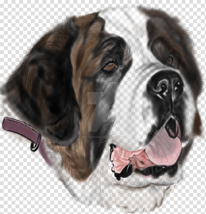 St. Bernard Dog breed Drawing Tattoo Search and rescue dog, others transparent background PNG clipart