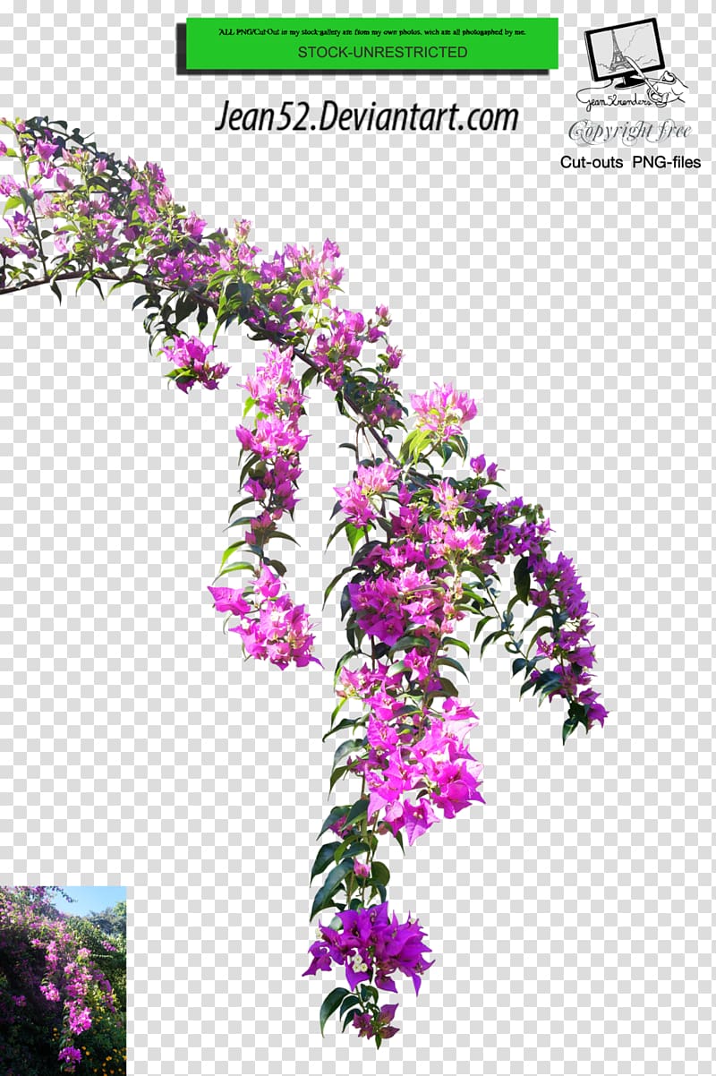 Flower Plant Floral design, Torii Gate transparent background PNG clipart