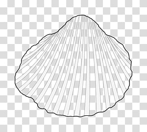 White Line art Angle, line transparent background PNG clipart thumbnail