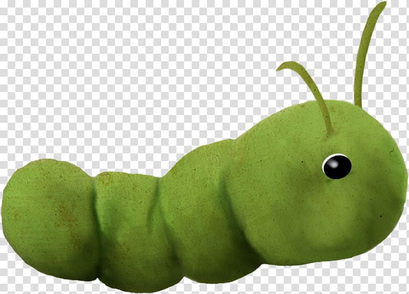 Caterpillar Cartoon Animation, Cartoon caterpillar transparent background PNG clipart