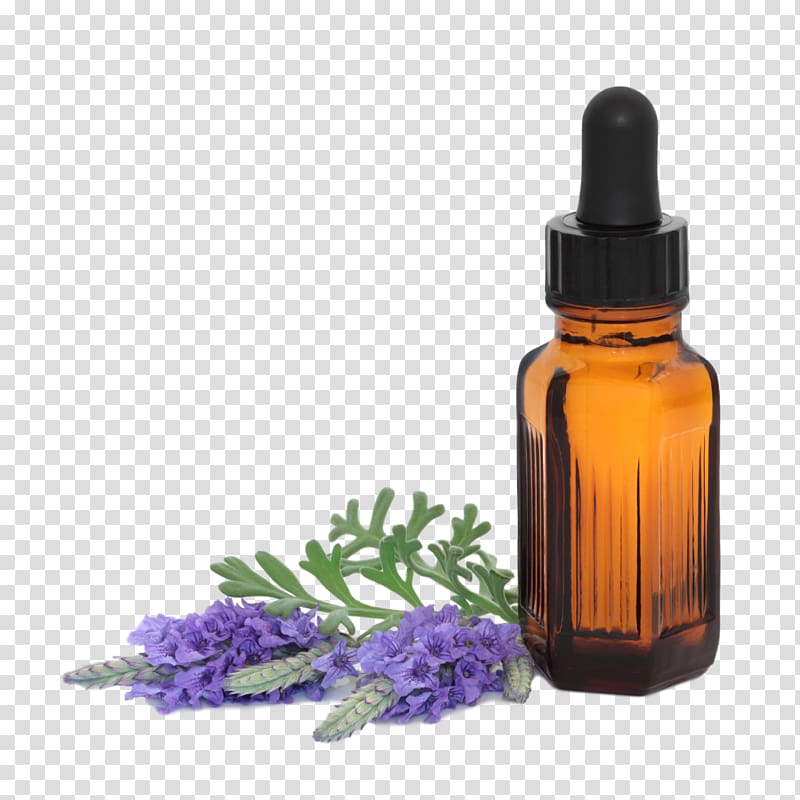 Essential oil Lavender oil Aromatherapy English lavender, aromatherapy transparent background PNG clipart