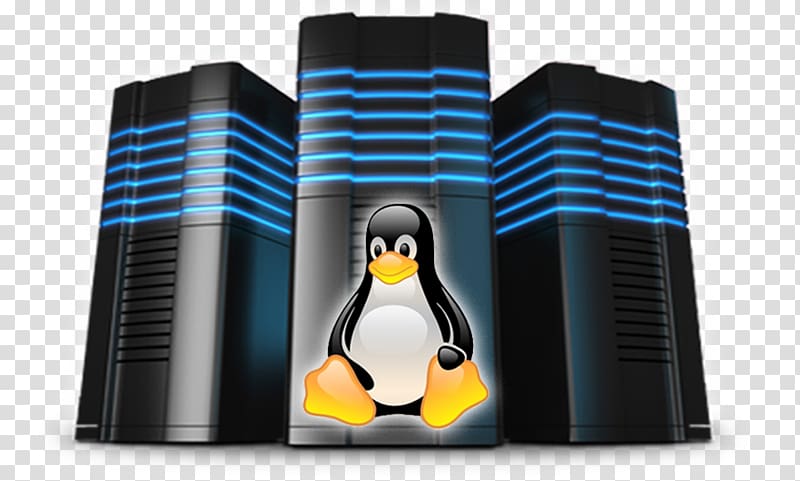 Web hosting service Internet hosting service Virtual private server Dedicated hosting service Domain name, linuxhosting transparent background PNG clipart