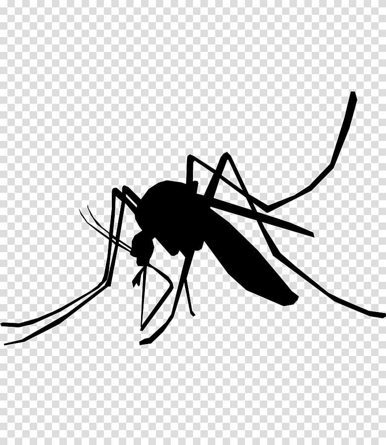 Household Insect Repellents Mosquito control Pest Control Zika virus, insect transparent background PNG clipart