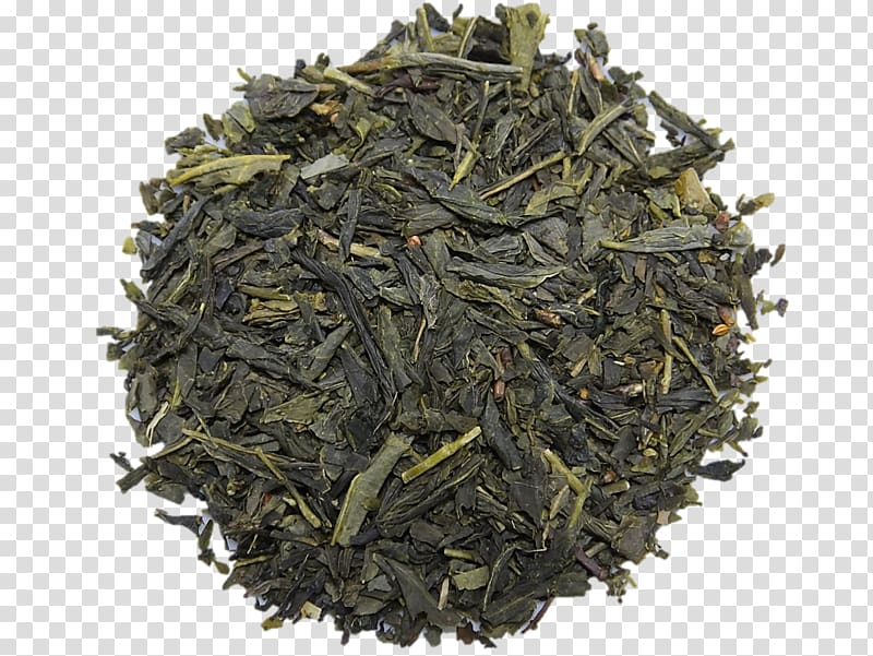 Tea Oolong Gyokuro Lapsang souchong Shincha, chrysanthemum tea transparent background PNG clipart