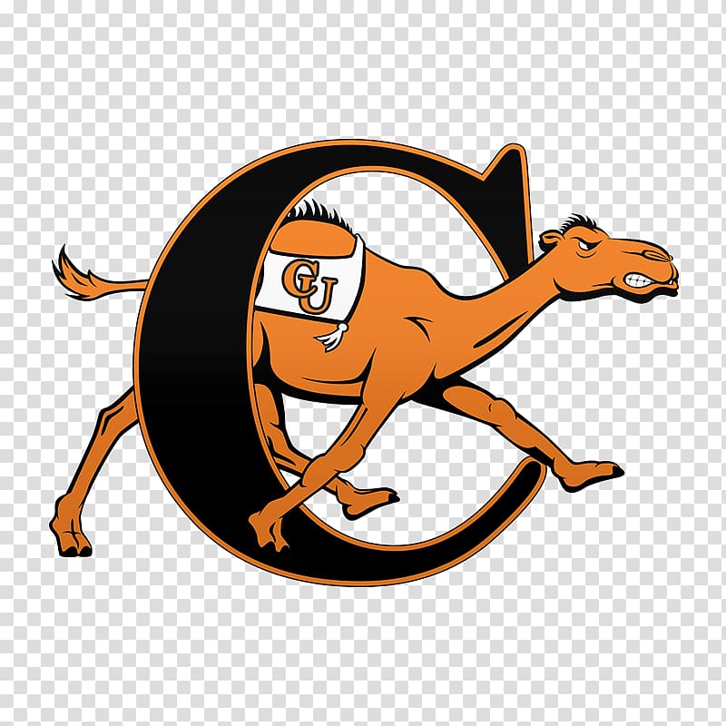 Campbell University Campbell Fighting Camels men's basketball Campbell Fighting Camels women's basketball Campbell Fighting Camels football Longwood University, basketball transparent background PNG clipart