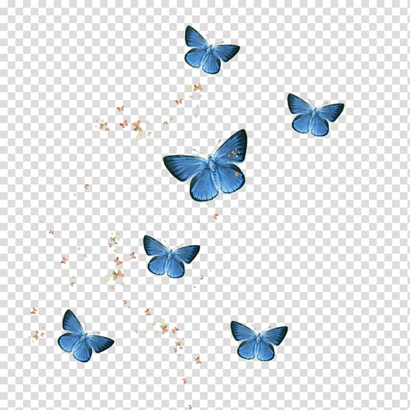 Butterfly Alcon blue Borboleta Naughty Accessories, butterfly transparent background PNG clipart