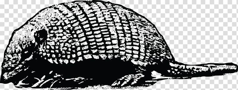Armadillo Wildlife Glyptodon, others transparent background PNG clipart