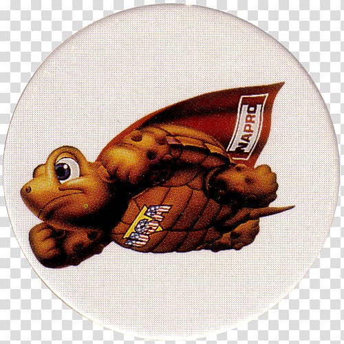 Turtle Petroleum Gamera United States, American Hero transparent background PNG clipart