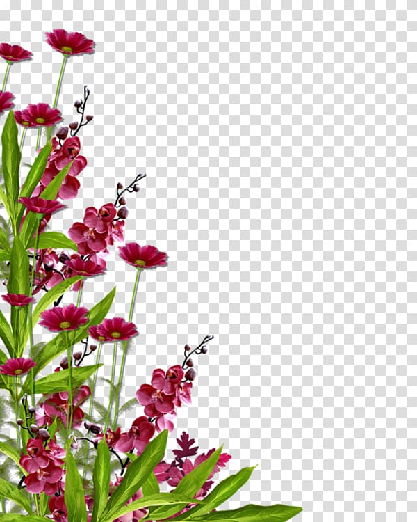 Flower garden , flower transparent background PNG clipart