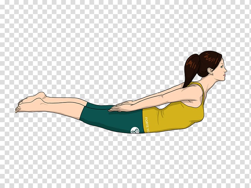 Yoga Salabhasana Exercise Plank, yoga cartoon transparent background PNG clipart