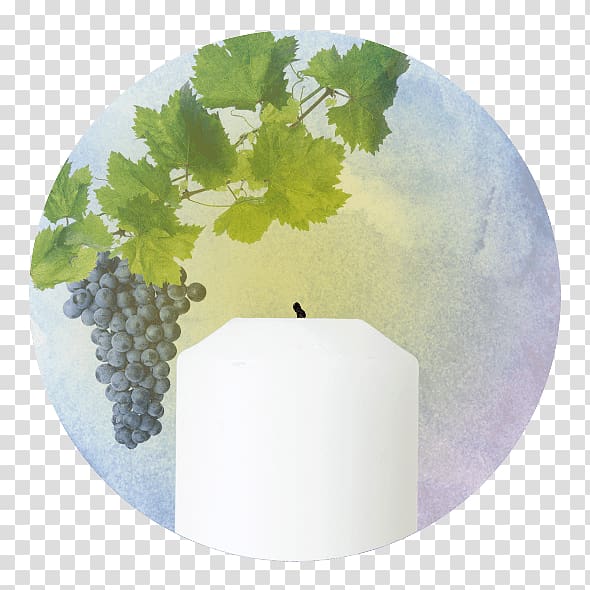 Common Grape Vine Vitis rupestris Grape leaves, grape transparent background PNG clipart