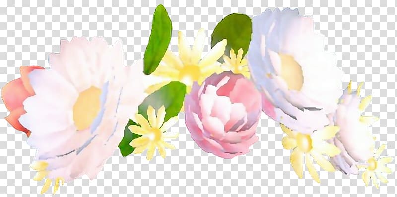 Flower Crown Wreath Snapchat Snap Inc., flower transparent background PNG clipart