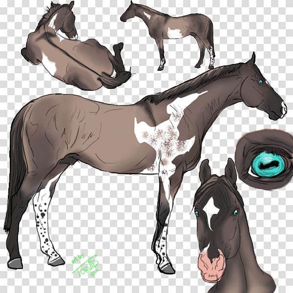Mustang Stallion Mare Colt Foal, toran transparent background PNG clipart
