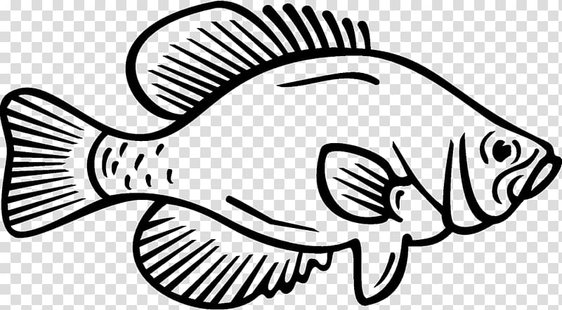 Coloring book White crappie Fish Black crappie, fish transparent background PNG clipart