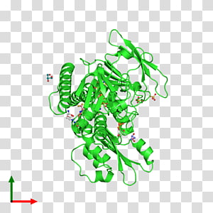 Line Point , line transparent background PNG clipart thumbnail