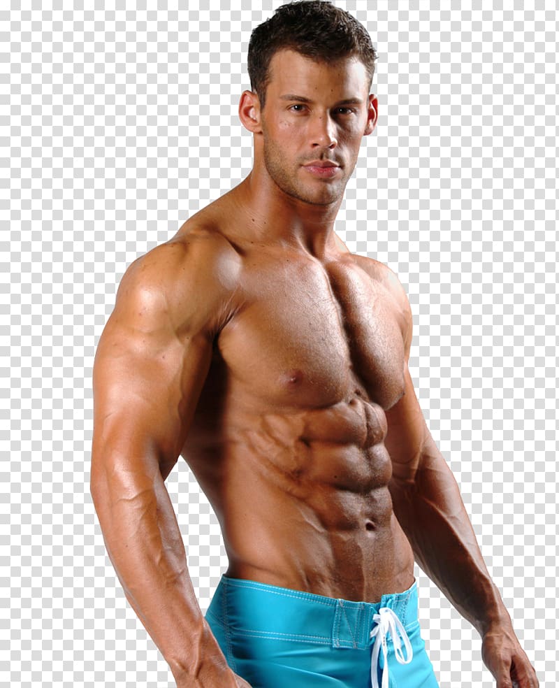 man in blue bottoms, Bodybuilding supplement Muscle Human body Fitness Centre, bodybuilding transparent background PNG clipart