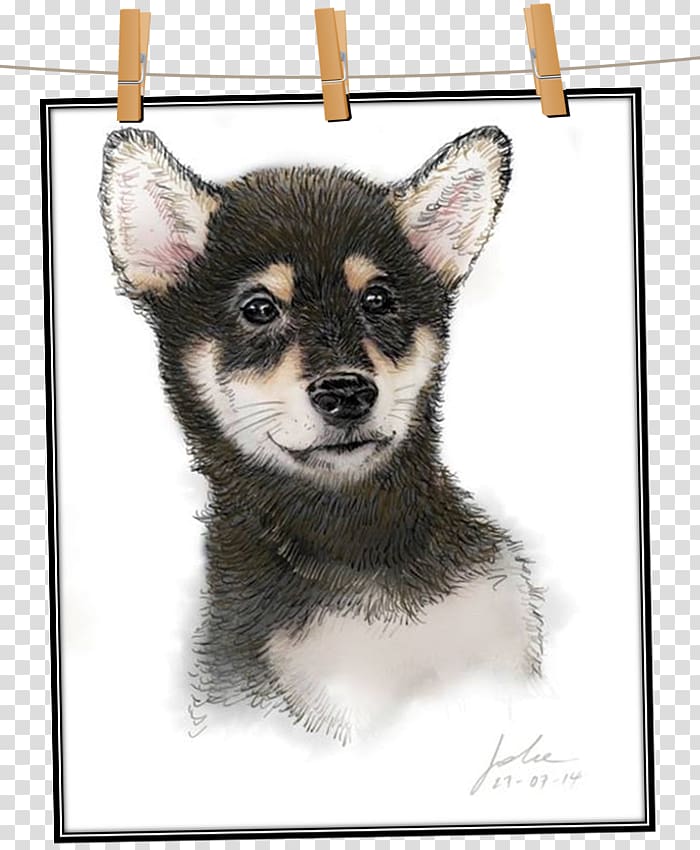 Miniature Siberian Husky Tamaskan Dog Lapponian herder Saarloos wolfdog Canadian Eskimo dog, Board Drawing transparent background PNG clipart