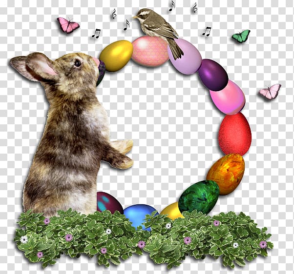 Hare Easter Bunny Rabbit Easter egg, tet holiday transparent background PNG clipart