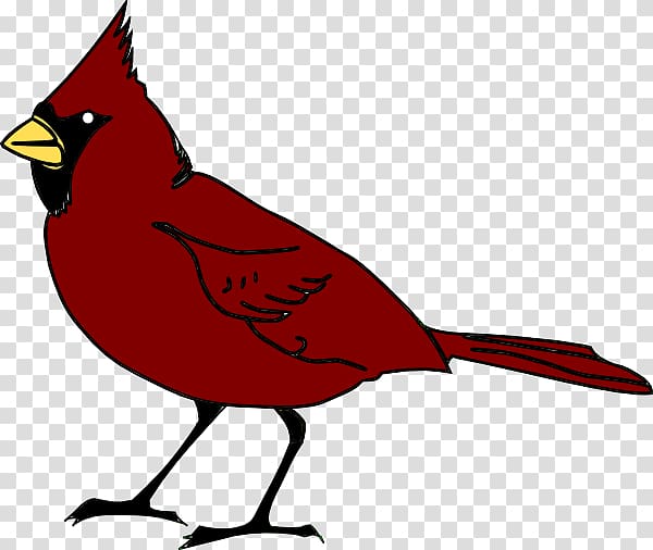 Bird Northern cardinal , Cardinal transparent background PNG clipart