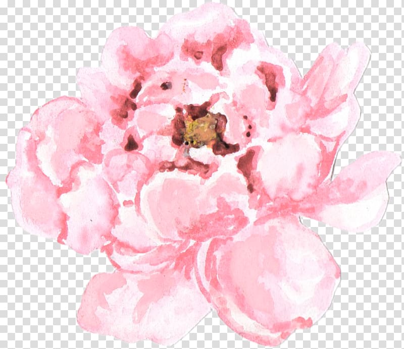 Malaysian flowers Watercolor painting Craft, peonies transparent background PNG clipart