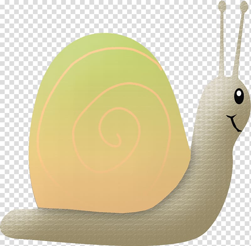 Snail Orthogastropoda Caracol, Snail crawling transparent background PNG clipart