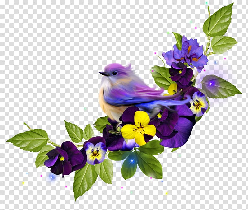 Bird Yuvarlakia .az, lavanda transparent background PNG clipart