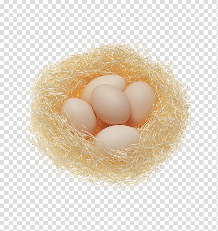 Breakfast Chicken egg Nutrition Health, Nest egg transparent background PNG clipart
