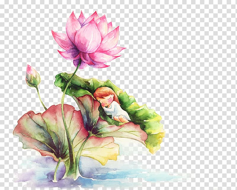 pink petaled flowers painting, Watercolor painting Nelumbo nucifera, Colorful hand-painted lotus transparent background PNG clipart